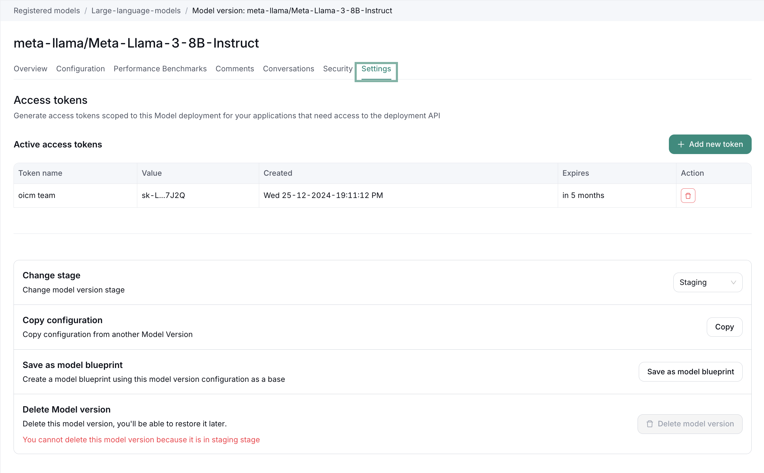 Model Registry Settings