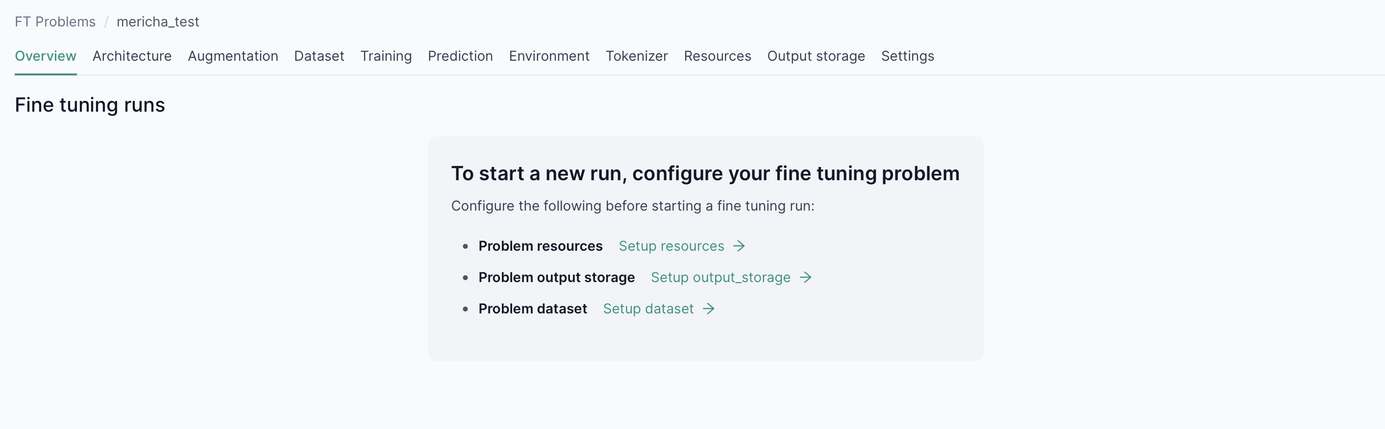 Fine-Tuning Problem Overview